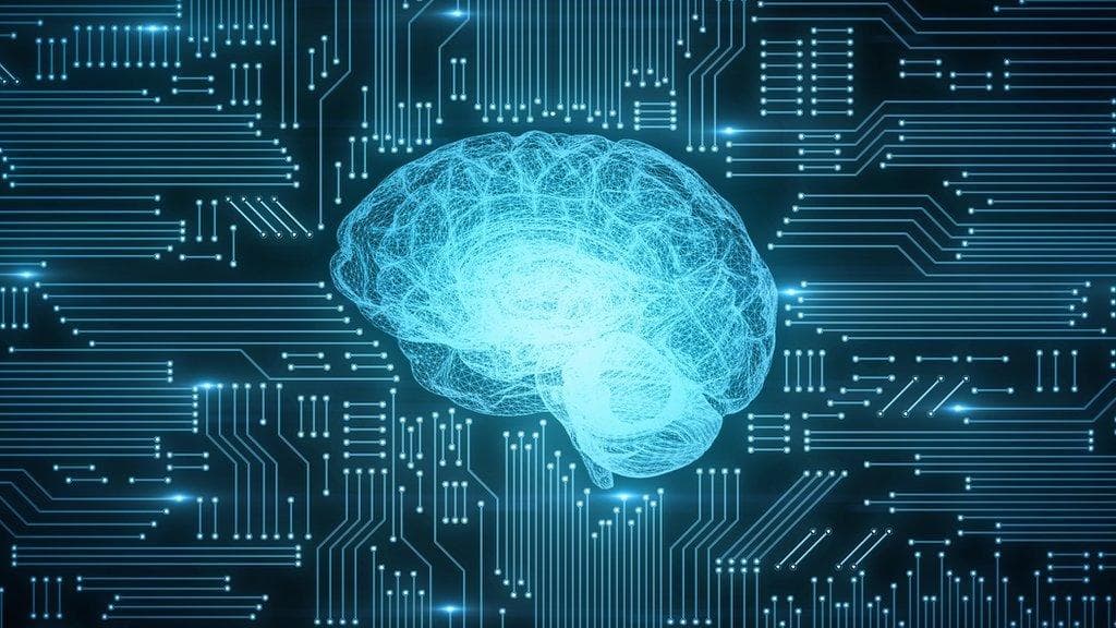 Why Successful Contractors Embrace the Human Interface with AI Model