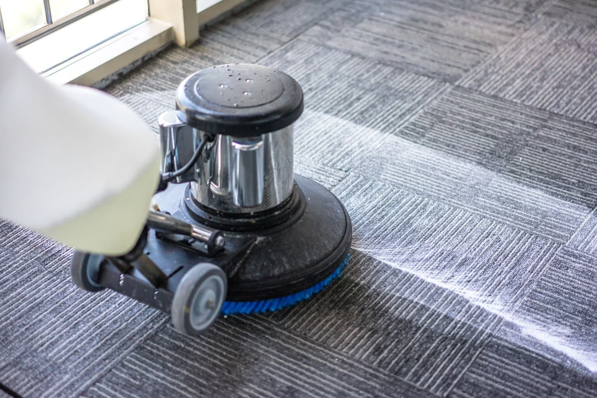 Professional Carpet Cleaners Roseville CA – Trusted &amp; Reliable