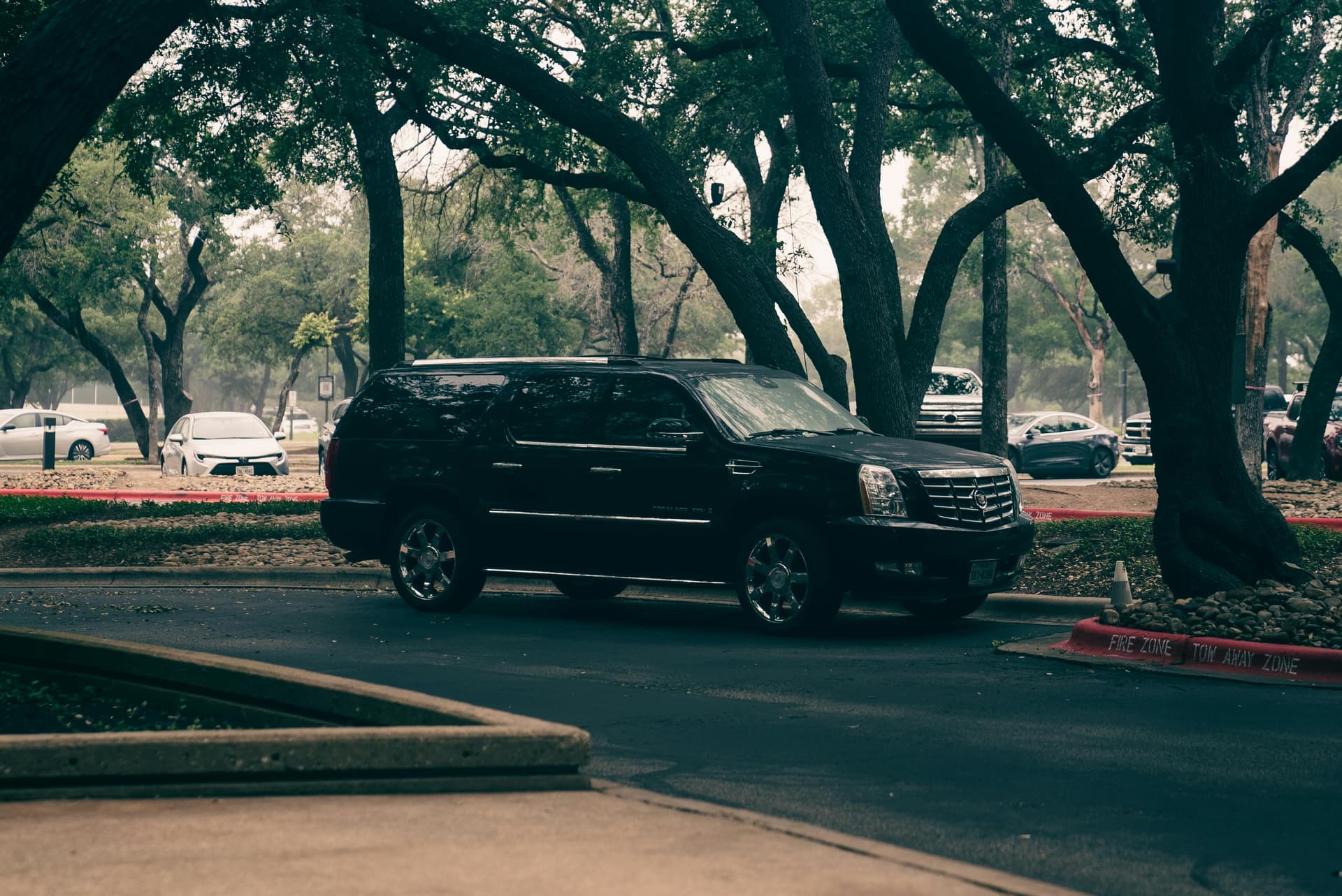 How a Winery tour limousine Makes Wine Tasting Unforgettable