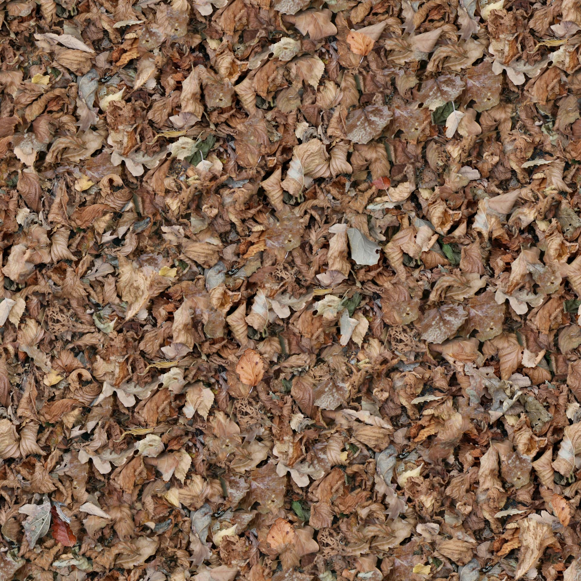 Decorative Wood Chips Malta: Enhance Your Garden and Landscape