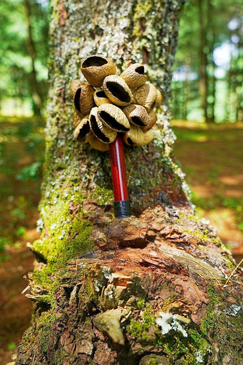 Outdoor Natural Chimes Made from Authentic Tropical Seed Pods