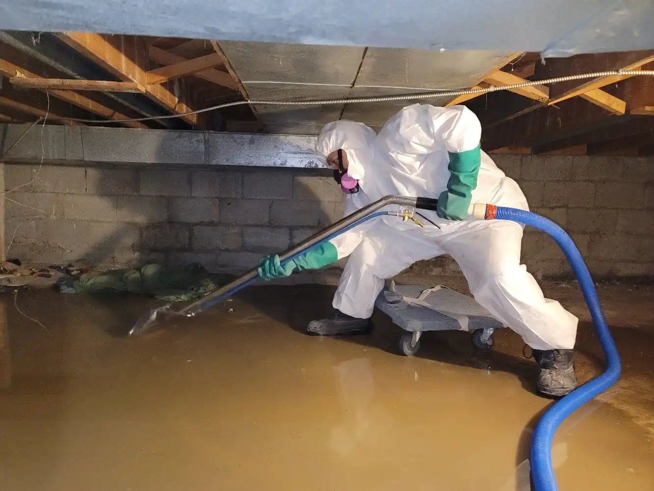 Top-Rated Services for water damage restoration leander tx