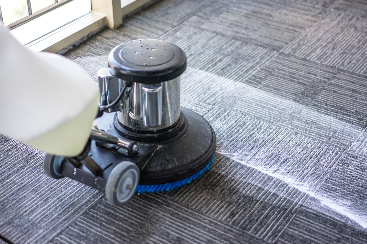 Professional Carpet Cleaners Roseville CA – Trusted &amp; Reliable