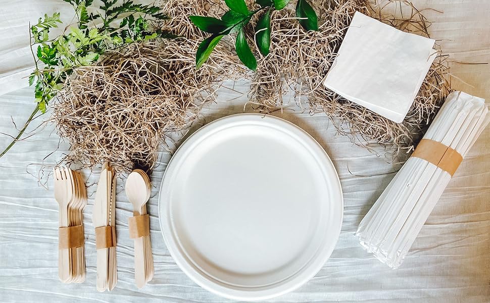 Sustainable Dining: The Benefits of Using Compostable Paper Plates