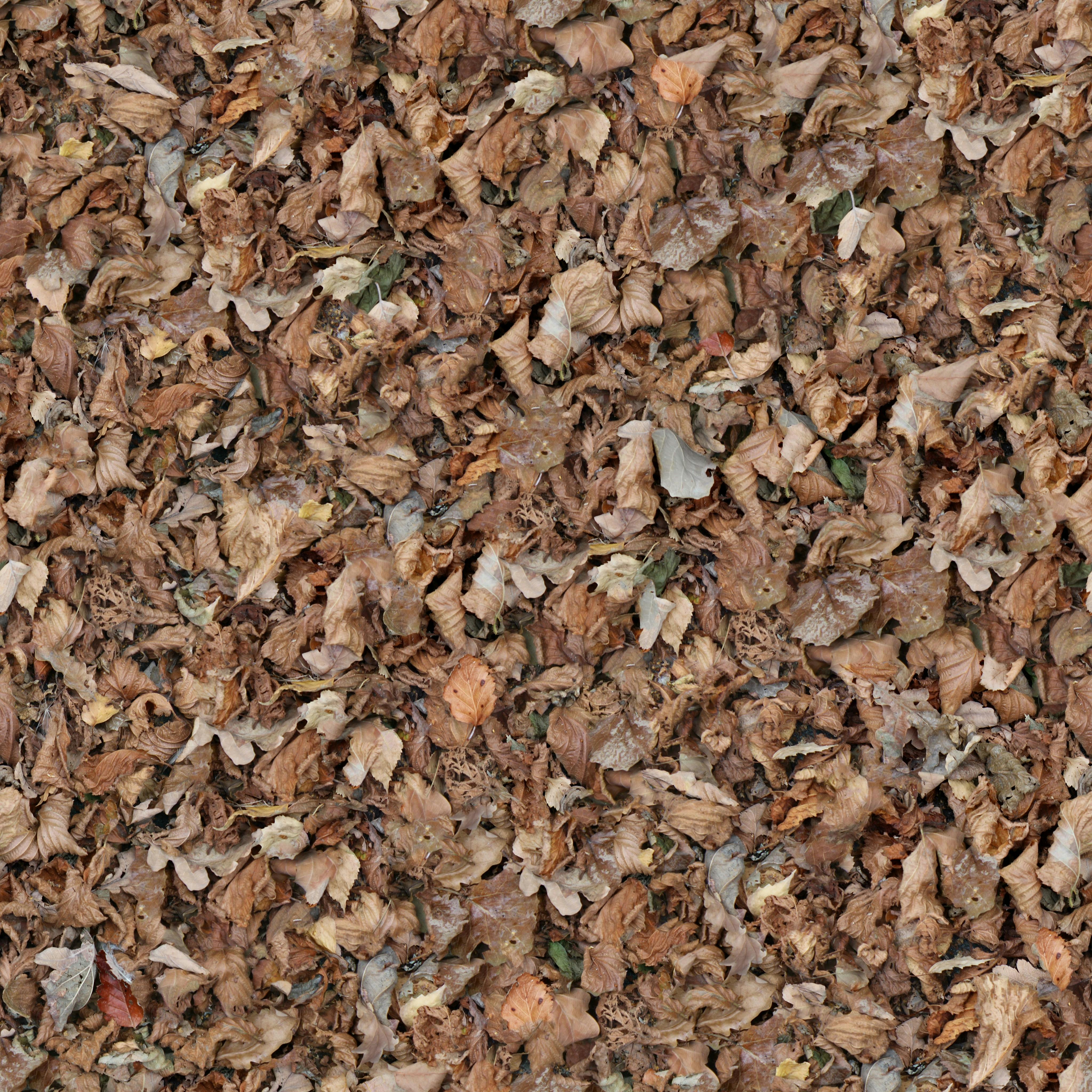 Decorative Wood Chips Malta: Enhance Your Garden and Landscape