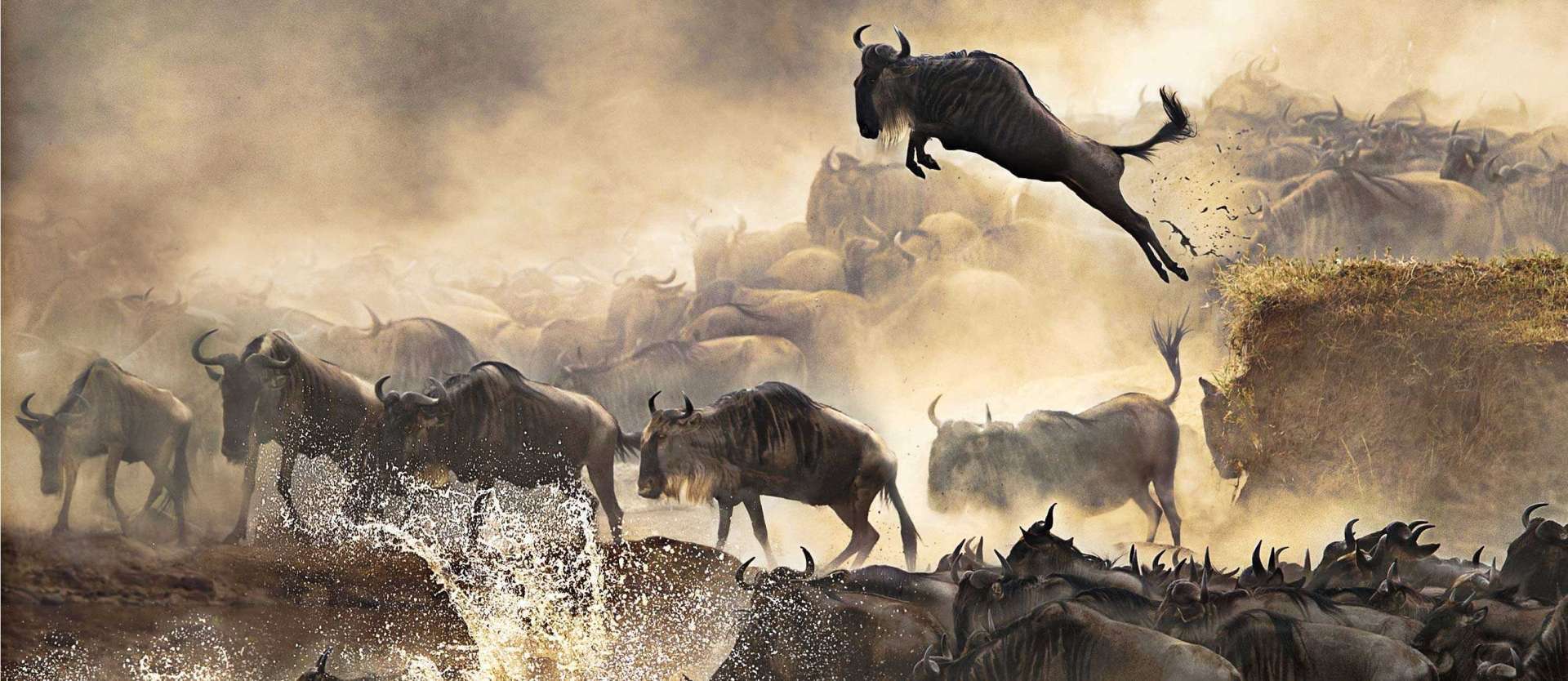 Kenya Tanzania Safari Tours: Wildlife, Culture &amp; Adventure