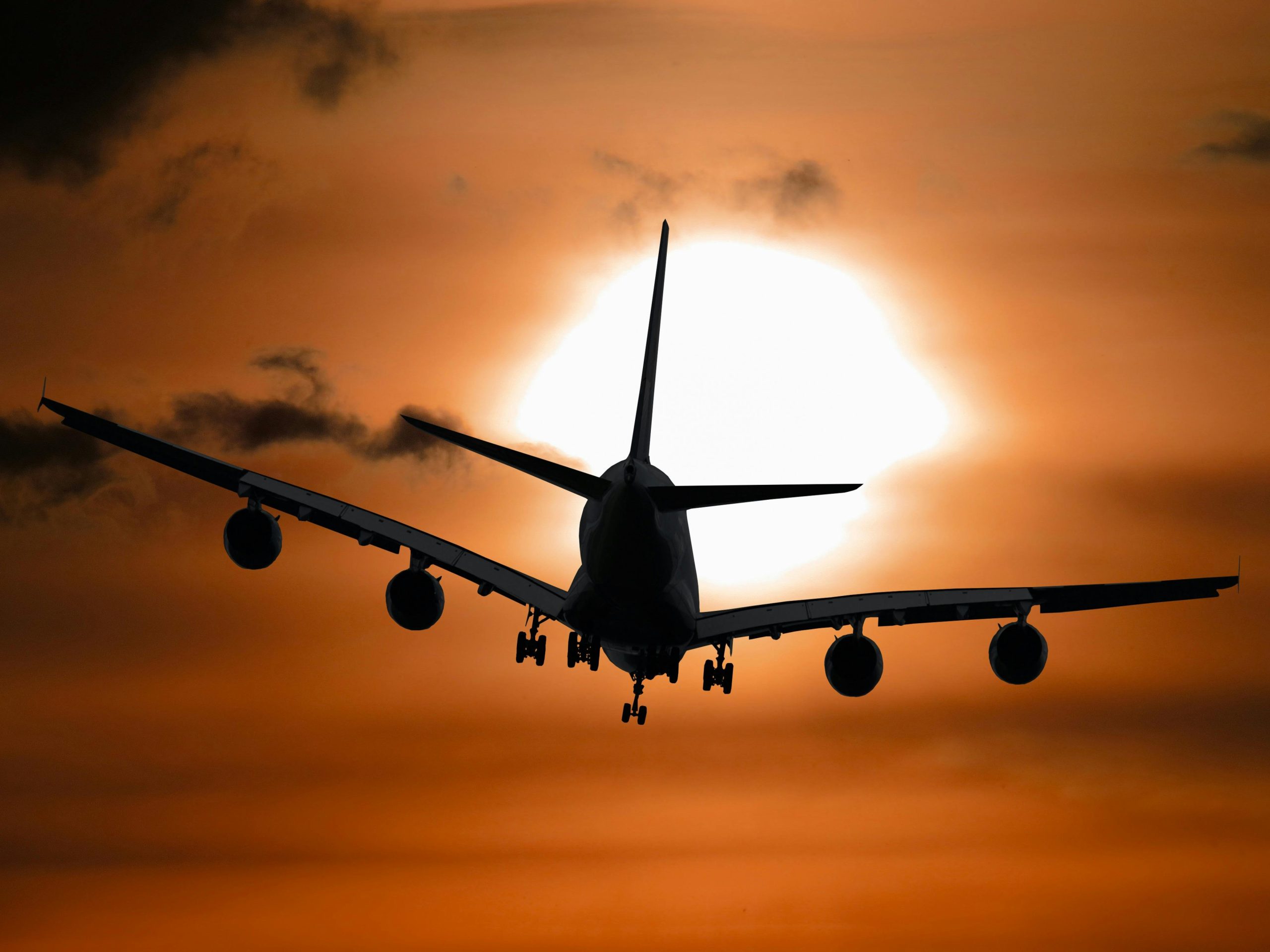 Round Trip Flight Offers 7-14 Days: Affordable Travel Made Easy