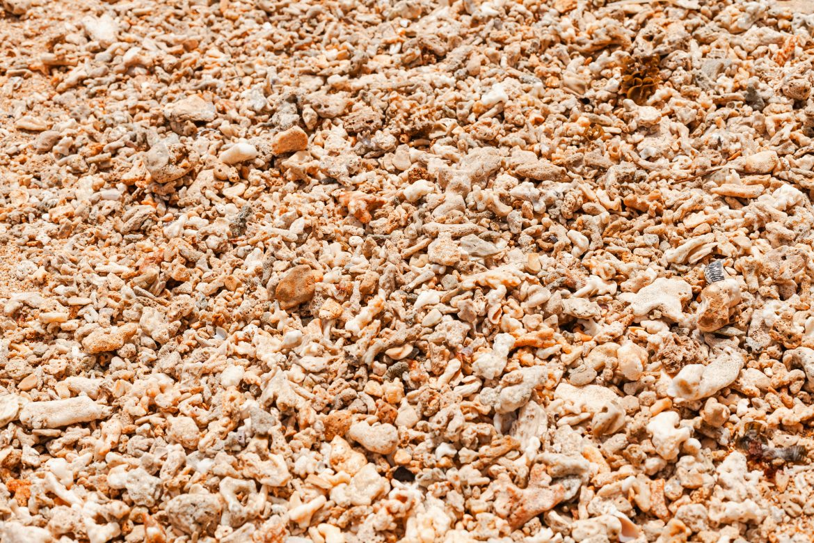 Affordable Wood Chips for Agricultural and Industrial Use