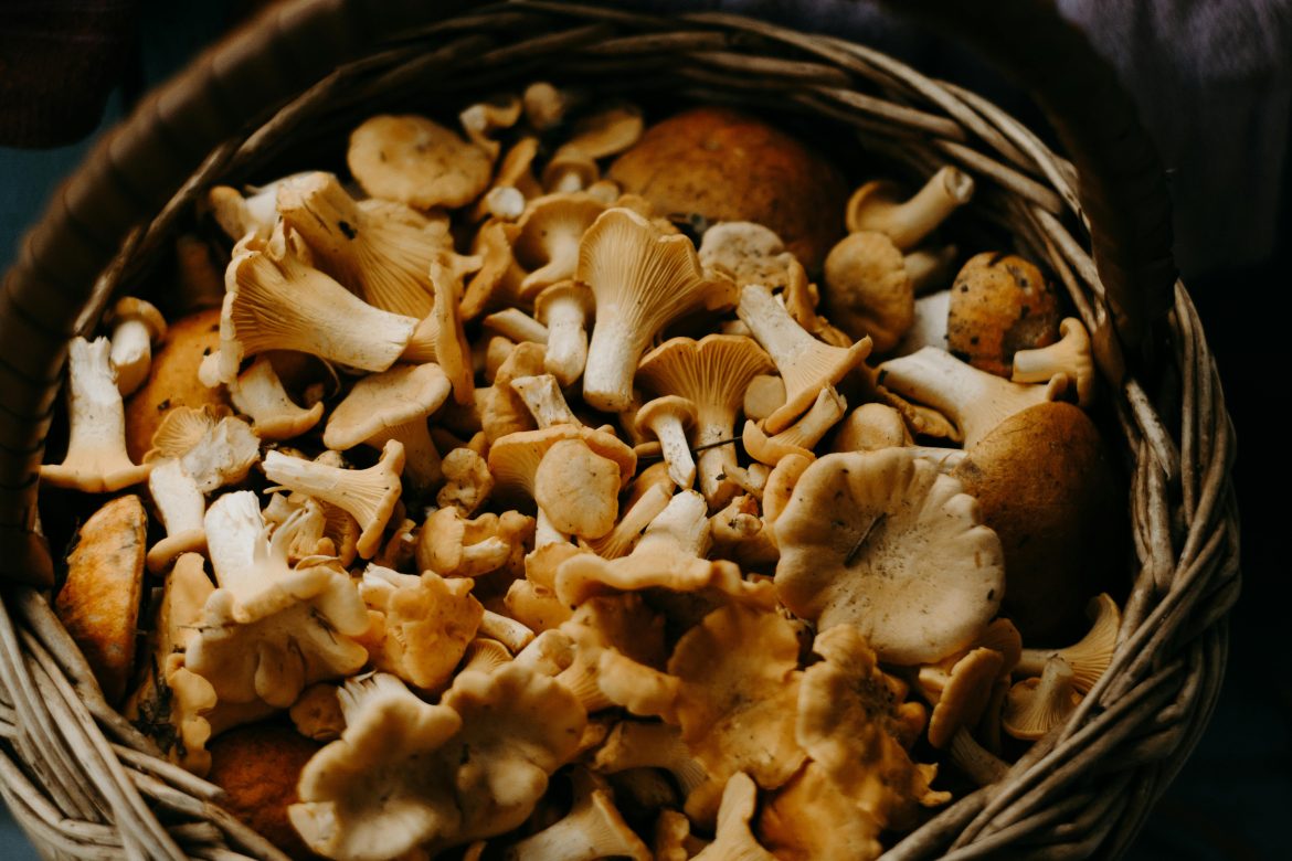 WHY MUSHROOMS ARE TRENDING IN 2025’S FOOD SCENE